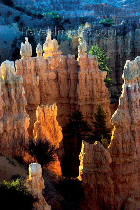 usa2080: Bryce Canyon National Park, Utah, USA: Fairyland Point - hoodoos at sunrise - photo by B.Cain - (c) Travel-Images.com - Stock Photography agency - Image Bank