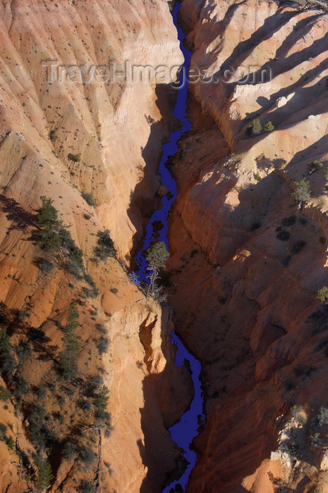 usa2081: Bryce Canyon National Park, Utah, USA: canyon of the Paria River, a tributary of the Colorado River - photo by B.Cain - (c) Travel-Images.com - Stock Photography agency - Image Bank