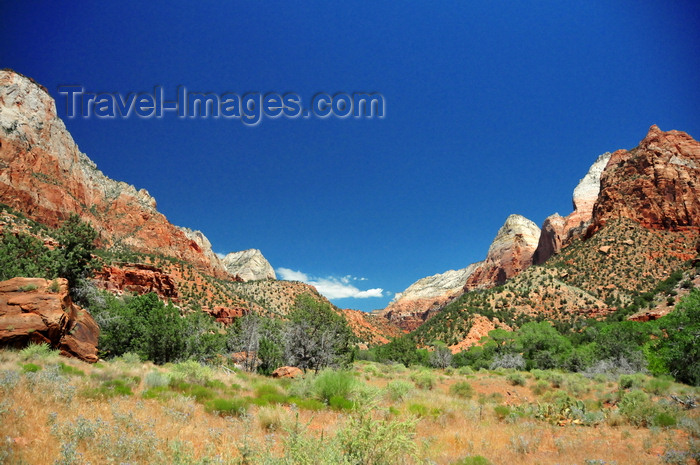 usa2082: Zion National Park, Utah, USA: meadow at the southern end of the park - photo by M.Torres - (c) Travel-Images.com - Stock Photography agency - Image Bank