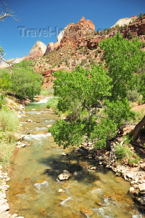 usa2083: Zion National Park, Utah, USA: Virgin River, a tributary of the Colorado River- photo by M.Torres - (c) Travel-Images.com - Stock Photography agency - Image Bank
