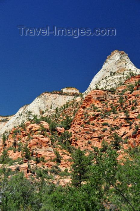 usa2089: Zion National Park, Utah, USA: white and red sandstone - Zion-Mt. Carmel Highway - photo by M.Torres - (c) Travel-Images.com - Stock Photography agency - Image Bank