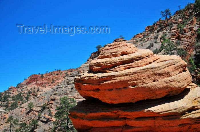 usa2091: Zion National Park, Utah, USA: eroded block of Navajo Sandstone - Zion-Mt. Carmel Highway - photo by M.Torres - (c) Travel-Images.com - Stock Photography agency - Image Bank