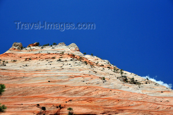 usa2093: Zion National Park, Utah, USA: this Navajo Sandstone hill originates in old sand dunes, shifting winds during deposition created cross-bedding leading to today's striation - Zion-Mt. Carmel Highway - photo by M.Torres - (c) Travel-Images.com - Stock Photography agency - Image Bank