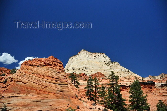usa2094: Zion National Park, Utah, USA: red and white hills - Zion-Mt. Carmel Highway - photo by M.Torres - (c) Travel-Images.com - Stock Photography agency - Image Bank