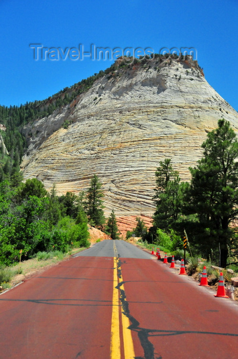 usa2096: Zion National Park, Utah, USA: Checkerboard Mesa - fossilized sand dunes - Zion-Mt. Carmel Highway - photo by M.Torres - (c) Travel-Images.com - Stock Photography agency - Image Bank