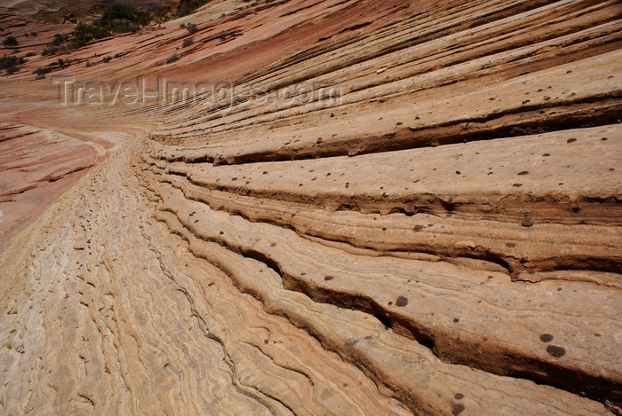 usa2097: Zion National Park, Utah, USA: ripple marks close-up, along the Zion-Mount Carmel Highway - photo by A.Ferrari - (c) Travel-Images.com - Stock Photography agency - Image Bank