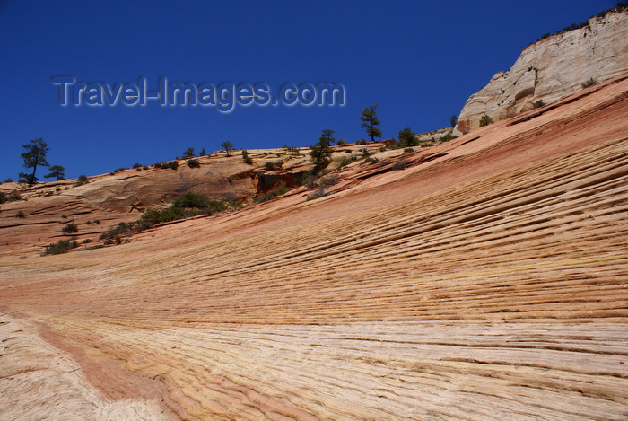 usa2099: Zion National Park, Utah, USA: ripple marks, along the Zion-Mount Carmel Highway - photo by A.Ferrari - (c) Travel-Images.com - Stock Photography agency - Image Bank