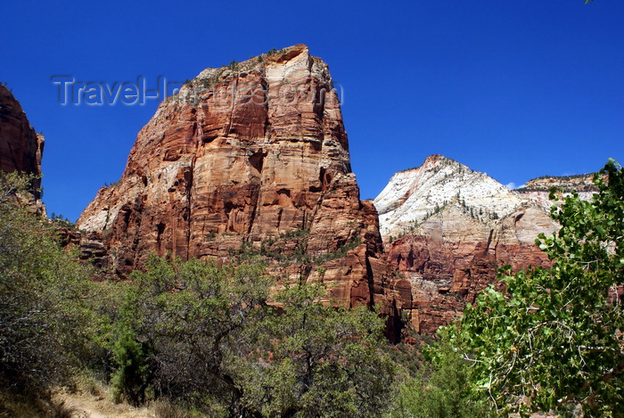 usa2100: Zion National Park, Utah, USA: Angel's Landing against the sky - photo by A.Ferrari - (c) Travel-Images.com - Stock Photography agency - Image Bank