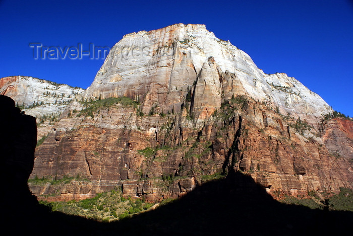 usa2105: Zion National Park, Utah, USA: The Great White Throne - photo by A.Ferrari - (c) Travel-Images.com - Stock Photography agency - Image Bank