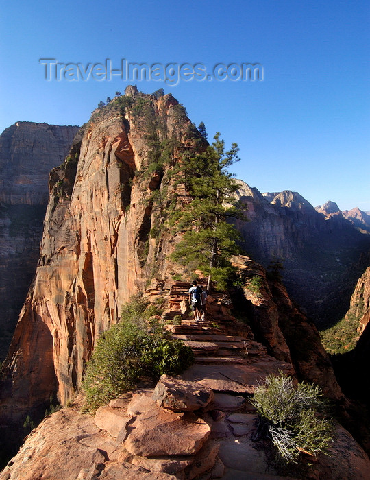 usa2108: Zion National Park, Utah, USA: Angel's Landing - almost at the top - photo by B.Cain - (c) Travel-Images.com - Stock Photography agency - Image Bank