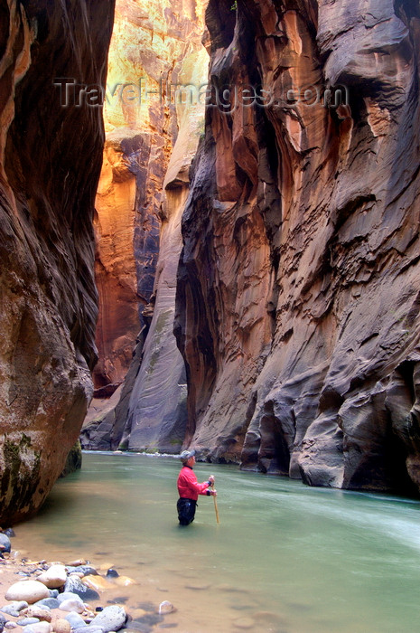 usa2112: Zion National Park, Utah, USA: Virgin River Narrows - Wall Street section - angler - photo by B.Cain - (c) Travel-Images.com - Stock Photography agency - Image Bank