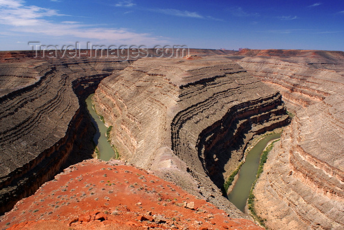 usa2132: Goosenecks State Park, San Juan county, Utah, USA: deep incised meanders of the San Juan River - photo by A.Ferrari - (c) Travel-Images.com - Stock Photography agency - Image Bank