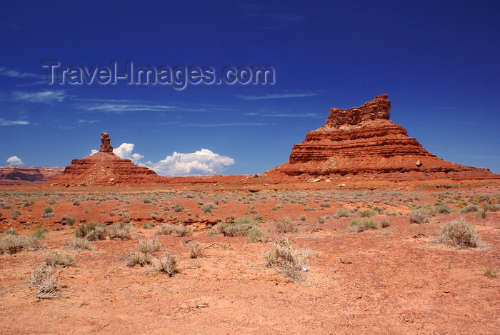 usa2142: Valley of the Gods, San Juan County, Utah, USA: Rooster Butte (left) and Setting Hen Butte (right) - photo by A.Ferrari - (c) Travel-Images.com - Stock Photography agency - Image Bank