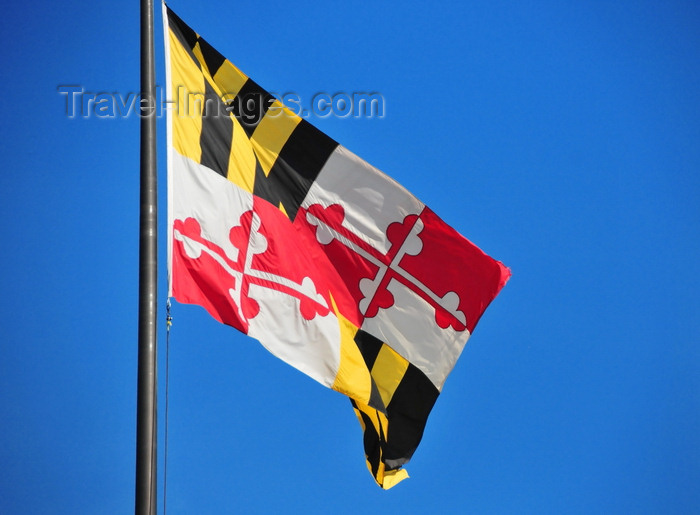 usa2158: Baltimore, Maryland, USA: Maryland state flag -  Greek crosses terminating in trefoils - coat of arms of the Calvert family - photo by M.Torres - (c) Travel-Images.com - Stock Photography agency - Image Bank