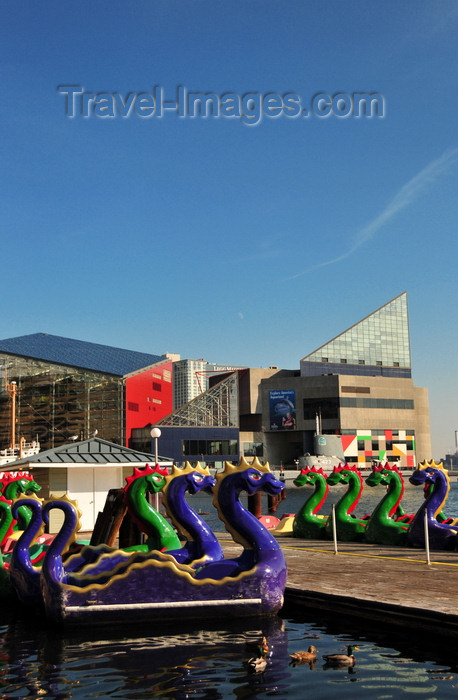 usa2165: Baltimore, Maryland, USA: colorful dragon paddle boats lined along the Inner Harbor and the National Aquarium - photo by M.Torres - (c) Travel-Images.com - Stock Photography agency - Image Bank