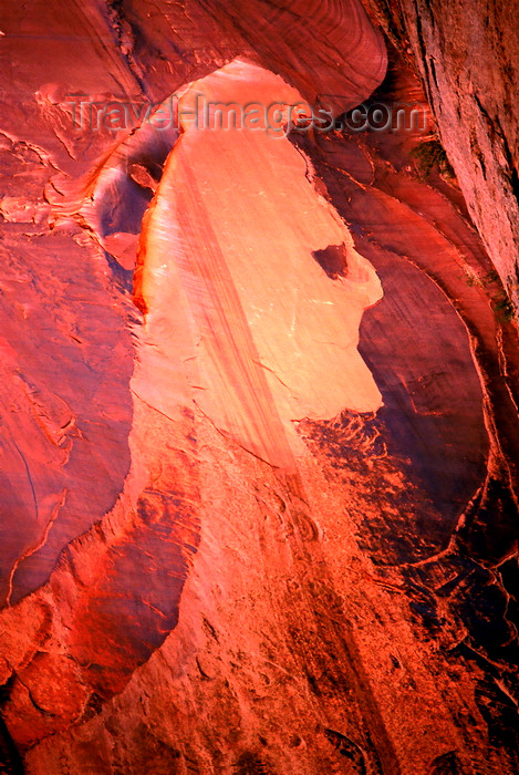 usa2214: Lake Powell, Utah, USA: desert varnish creates a face in the sandstone cliffs of Iceberg Canyon - photo by C.Lovell - (c) Travel-Images.com - Stock Photography agency - Image Bank