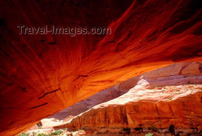 usa2217: Lake Powell, Utah, USA: roof of an ancient cave carved out of sandstone in Iceberg Canyon - photo by C.Lovell - (c) Travel-Images.com - Stock Photography agency - Image Bank