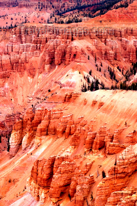usa2220: Cedar Breaks National Monument, Utah, USA: made up of erodding Pink Cliffs of the Clarion Formation - the rim is over 10,000 feet in elevation - UTAH - photo by C.Lovell - (c) Travel-Images.com - Stock Photography agency - Image Bank