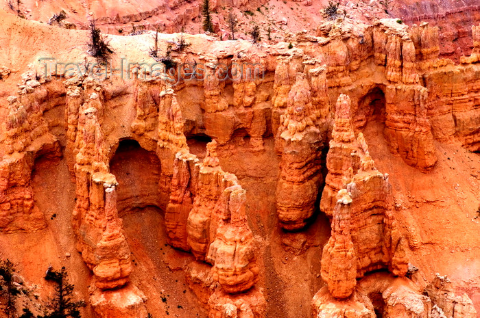 usa2221: Cedar Breaks National Monument, Utah, USA: Hoodoos - erosion of the Colorado plateau - photo by C.Lovell - (c) Travel-Images.com - Stock Photography agency - Image Bank