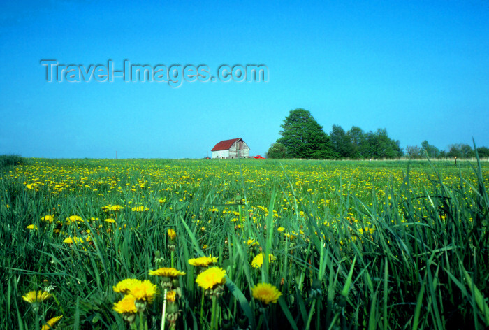 usa228: Pennsylvania, USA: farm - in the fields - rural scenic - agriculture - barn - photo by J.Fekete - (c) Travel-Images.com - Stock Photography agency - Image Bank