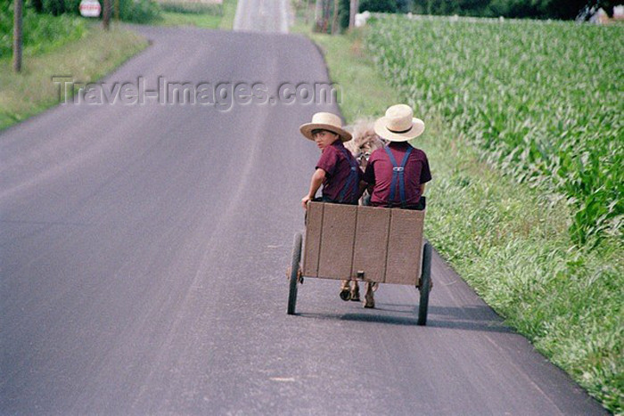 usa229: Pennsylvania, USA: Amish vehicle - junior version - photo by J.Kaman - (c) Travel-Images.com - Stock Photography agency - Image Bank