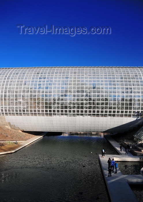 usa2344: Oklahoma City, OK, USA: Myriad Botanical Gardens - Crystal Bridge Tropical Conservatory - a cylinder turned on its side housing a plant museum featuring towering palm trees, tropical plants and flowers, waterfalls and exotic animals - photo by M.Torres - (c) Travel-Images.com - Stock Photography agency - Image Bank