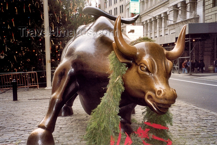 usa24: Manhattan (New York) / LGA / JFK : ragging bull- Bowling Green Bull - bronze sculpture by Arturo Di Modica - photo by M.Torres - (c) Travel-Images.com - Stock Photography agency - Image Bank