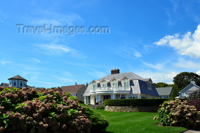 usa2416: Narragansett Pier, Washington County, Rhode Island, USA: hydrangeas and luxury houses along Ocean Road - photo by M.Torres - (c) Travel-Images.com - Stock Photography agency - Image Bank