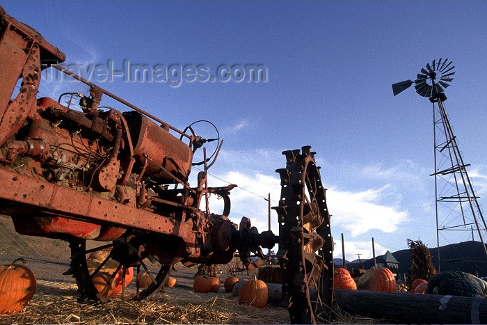 usa273: Solvang (California): pumpkins and rusting machinery - Santa Ynez Valley, Santa Barbara County - photo by F.Rigaud - (c) Travel-Images.com - Stock Photography agency - Image Bank