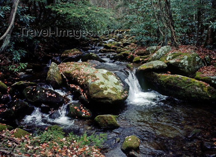 usa304: Great Smoky Mountains National Park, Tennessee, USA: stream and boulders in autumn forest - UNESCO World Heritage Site - once Cherokee territory - photo by C.Lovell - (c) Travel-Images.com - Stock Photography agency - Image Bank