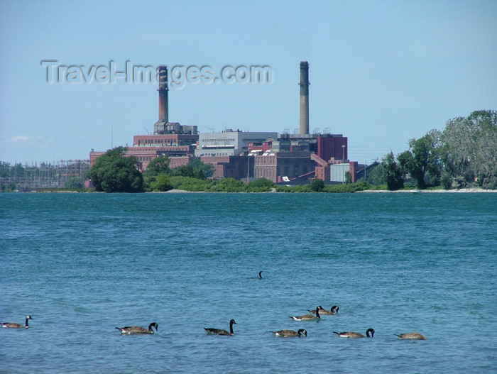 usa324: Niagara river, New York state, USA: power plant and geese - seen from the Canadian bank - photo by R.Grove - (c) Travel-Images.com - Stock Photography agency - Image Bank
