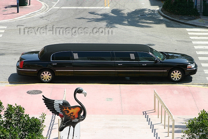 usa345: Miami (Florida): flamingo and limo - South Beach (photo by Charlie Blam) - (c) Travel-Images.com - Stock Photography agency - Image Bank