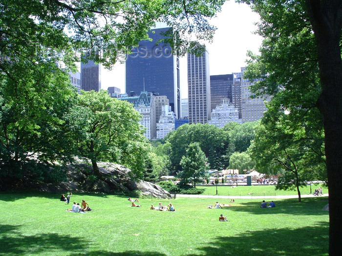 usa398: Manhattan (New York): Central Park - afternoon on the lawn (photo by Llonaid) - (c) Travel-Images.com - Stock Photography agency - Image Bank