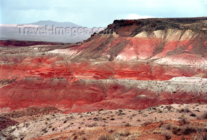 usa449: USA - Red Desert / Painted Desert (Arizona): plateau (photo by G.Friedman) - (c) Travel-Images.com - Stock Photography agency - Image Bank
