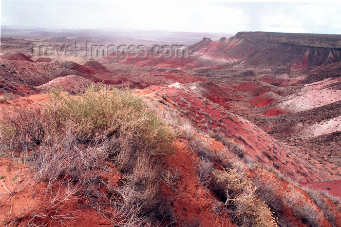 usa450: USA - Red Desert (Arizona): valley (photo by G.Friedman) - (c) Travel-Images.com - Stock Photography agency - Image Bank