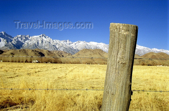 usa455: Death Valley (California): Fencepost and Mountains - landscape - Photo by G.Friedman - (c) Travel-Images.com - Stock Photography agency - Image Bank