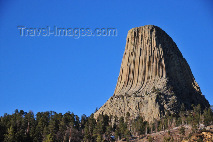 usa502: Devils Tower National Monument, Wyoming: was named in 1875 when the interpreter for Colonel Richard Irving Dodge's expedition translated the Indian name as 'Evil God's Tower' - photo by M.Torres - (c) Travel-Images.com - Stock Photography agency - Image Bank