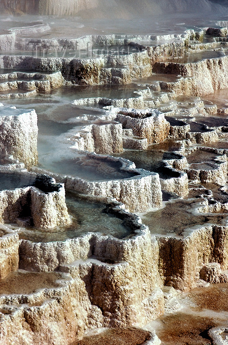 usa504: Yellowstone NP, Wyoming, USA: Mammoth Hot Springs - Minerva Terrace - travertine terraces - Terrace Mountain - the largest carbonate-depositing spring in the world - Pamukkale like landscape - Unesco world heritage site - photo by J.Fekete - (c) Travel-Images.com - Stock Photography agency - Image Bank
