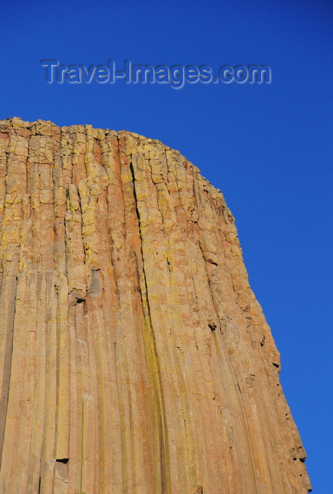 usa507: Devils Tower National Monument, Wyoming: flat-top stump of stone - cylindrical and fluted - photo by M.Torres - (c) Travel-Images.com - Stock Photography agency - Image Bank