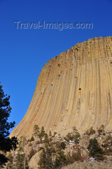 usa508: Devils Tower National Monument, Wyoming: the tower is a sacred site for many tribes of American Indians - it is known to the Lakota as 'Bears Lodge' - Mato Tipila - photo by M.Torres - (c) Travel-Images.com - Stock Photography agency - Image Bank