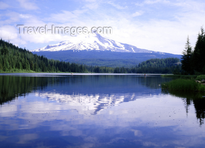 usa53: USA - Mount Hood (Oregon): Trillium lake - reflection - photo by J.Fekete - (c) Travel-Images.com - Stock Photography agency - Image Bank