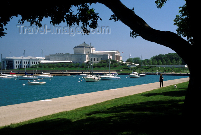 usa532: Chicago, Illinois, USA: sail boats at anchor on Lake Michigan with the John G Shedd Aquarium behind - S. Lake Shore Drive - photo by C.Lovell - (c) Travel-Images.com - Stock Photography agency - Image Bank