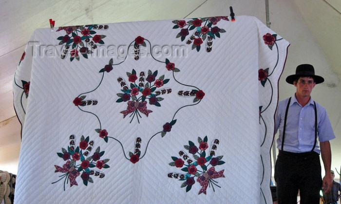 usa548: Bonduel (Wisconsin): selling an Appliqué quilt - Amish Quilt Auction - photo by G.Frysinger - (c) Travel-Images.com - Stock Photography agency - Image Bank