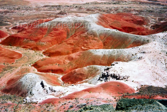 usa587: USA - Painted Desert / Red Desert (Arizona): red and white - colored badland hills (photo by S.Lovegrove) - (c) Travel-Images.com - Stock Photography agency - Image Bank