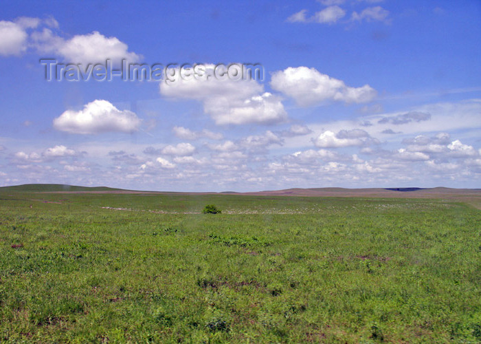 usa772: Kansas Tallgrass Prairie - photo by G.Frysinger - (c) Travel-Images.com - Stock Photography agency - Image Bank