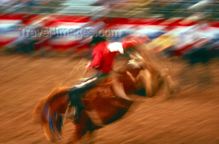 usa803: USA - Phoenix (Arizona): rodeo - saddle bronco riding - west - cowboy - blur - horse in motion - photo by J.Fekete - (c) Travel-Images.com - Stock Photography agency - Image Bank