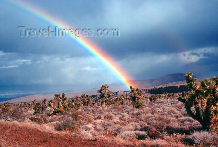 usa806: Nevada: rainbow in the desert - photo by J.Fekete - (c) Travel-Images.com - Stock Photography agency - Image Bank