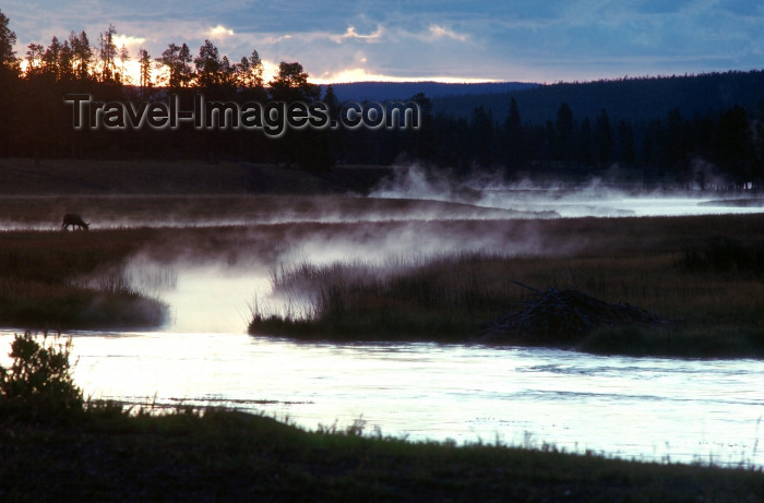 usa828: Yellowstone NP, Wyoming, USA: Madison River - sunrise with deer grazing - Unesco world heritage site - photo by J.Fekete - (c) Travel-Images.com - Stock Photography agency - Image Bank