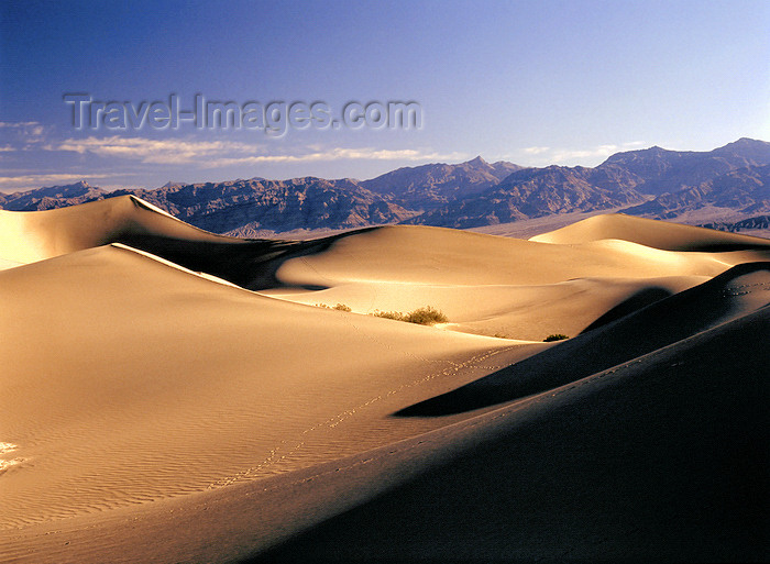 usa833: Death Valley (California): sand dunes - desert - photo by J.Fekete - (c) Travel-Images.com - Stock Photography agency - Image Bank