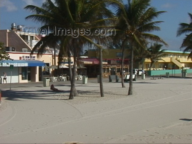 usa84: Fort Lauderdale / FLL / FXE (Florida): sandy backyard (photo by S.Young) - (c) Travel-Images.com - Stock Photography agency - Image Bank